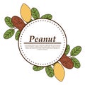 Vector peanut logo in cartoon style.